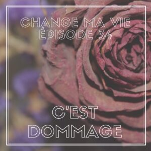 (034) C’est dommage