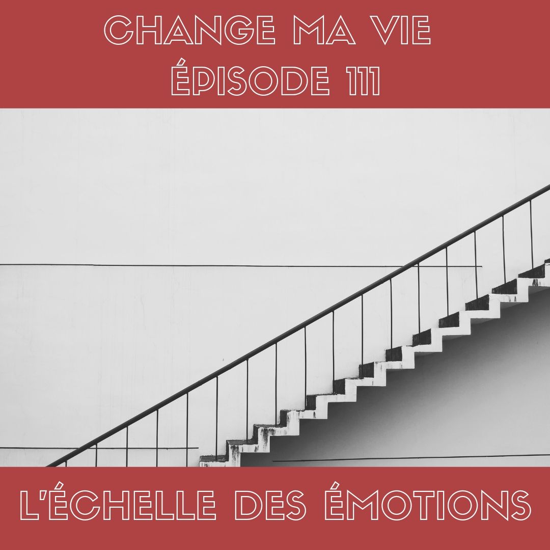 111) L'Échelle des émotions - Change ma vie, image size:1080x1080